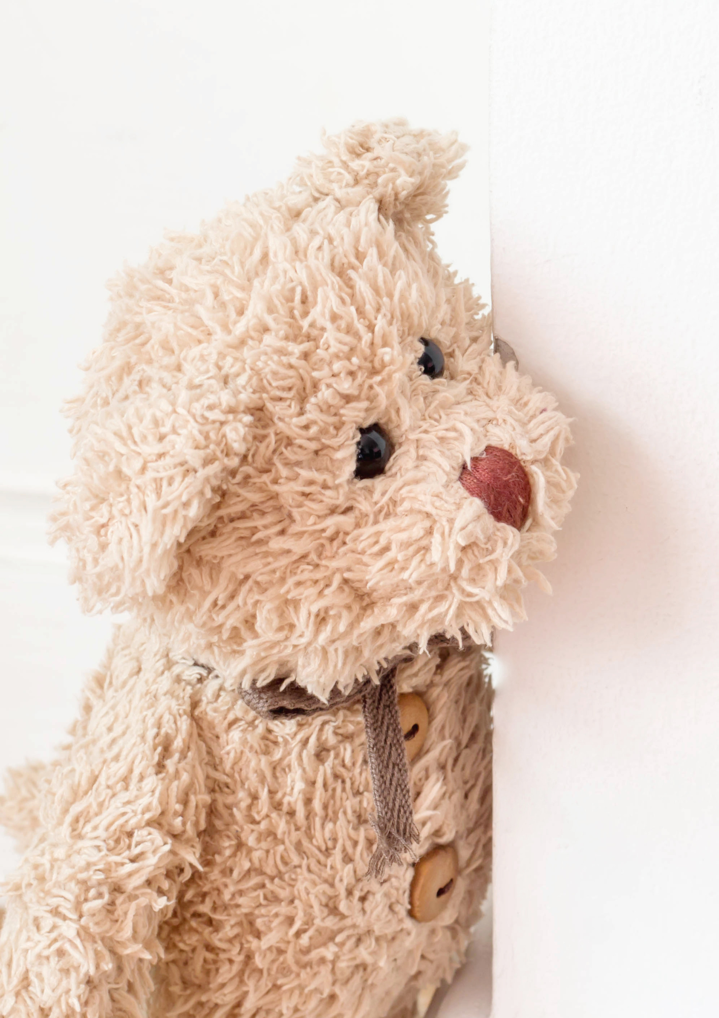 süßer Teddy schaut um die Ecke